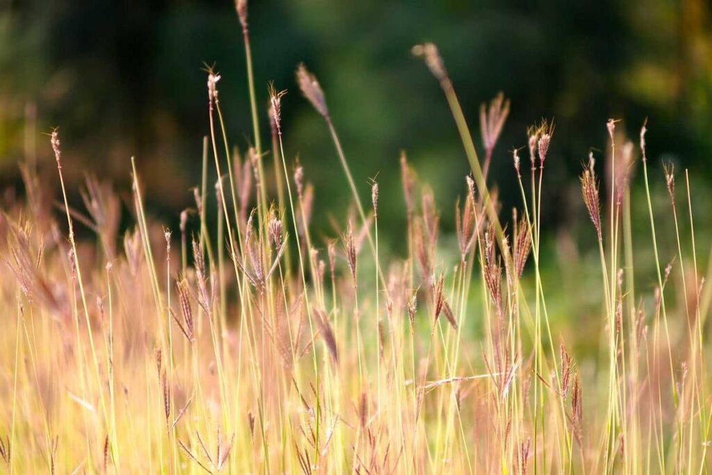 Build Your Own Rigs: Bottom Rigs, Sabiki Setups and Live Bait Harnesses