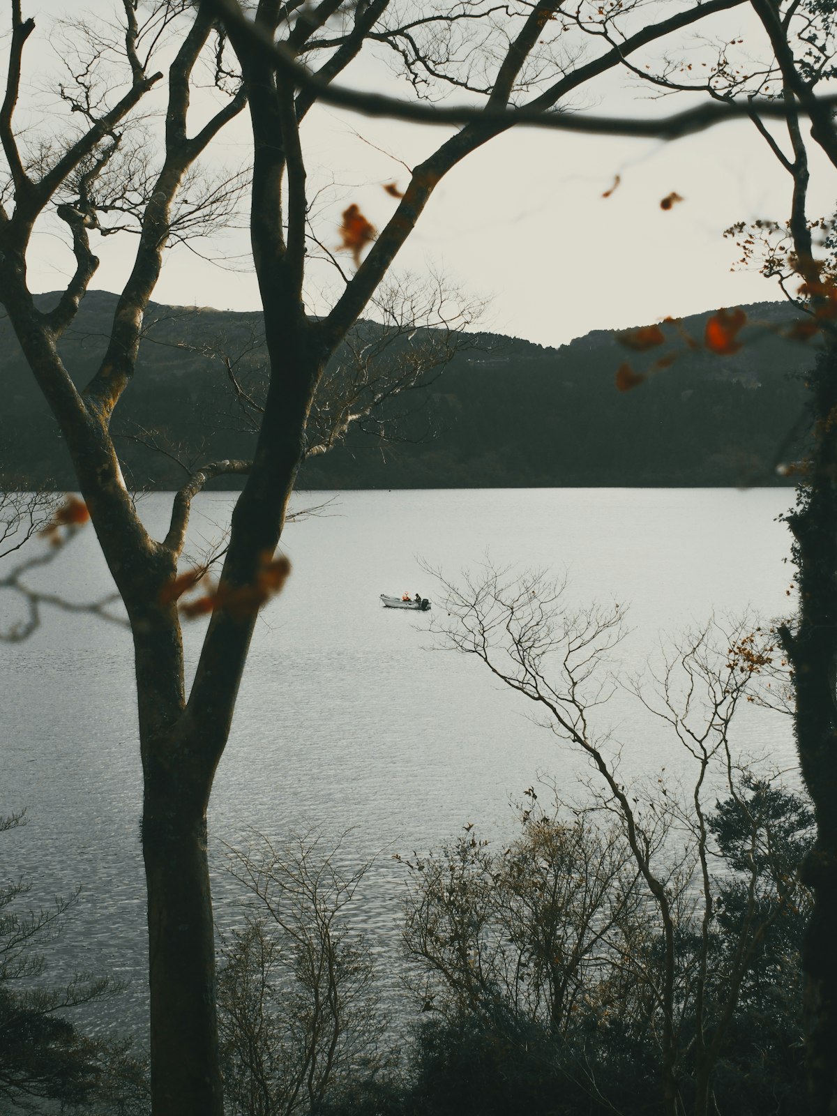 Ocean fishing expedition