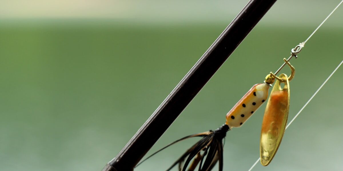 Circle Hooks and Release Mortality: Conservation That Keeps Fish Alive