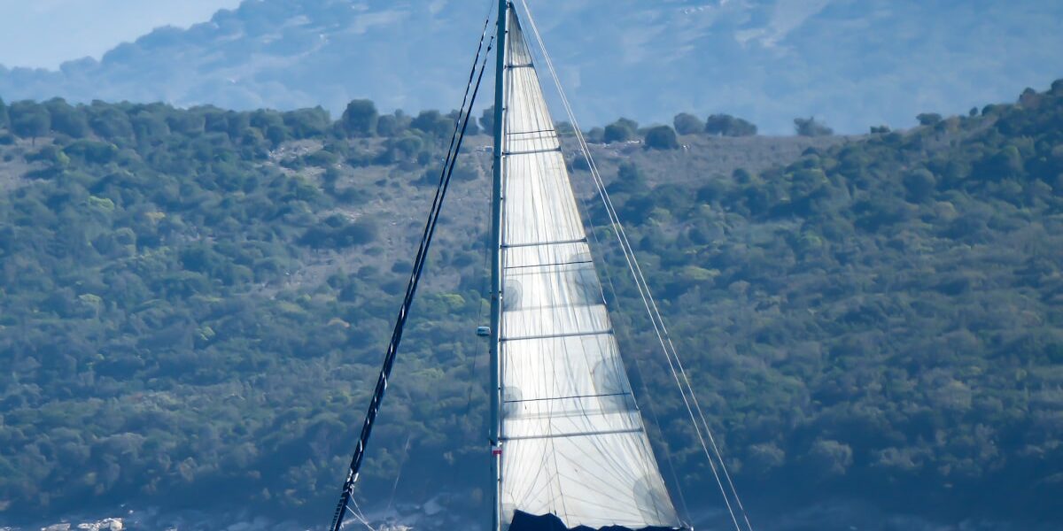 How to Release Big Fish the Right Way